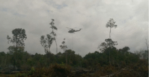 Polres Pelalawan Tangkap 2Tersangka Pembakar Hutan di TNTN