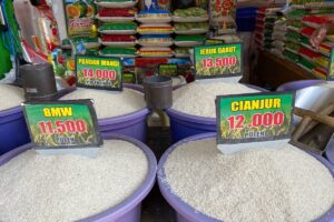 Penyebab Harga Beras Naik Menurut Perpadi: Stok Ada, tapi Distribusi Minim